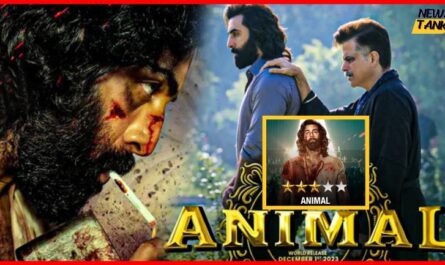 Animal Movie Review